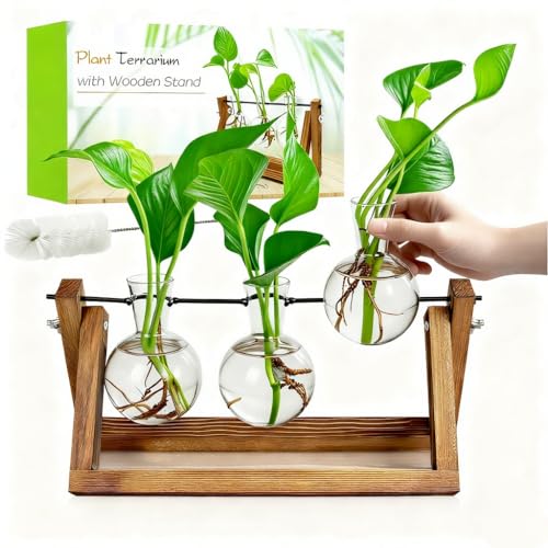 Renmxj Plant Propagation Station, Plant Terrarium with Wooden Stand | Unique Gardening Birthday Gifts for Women Plants Lovers, Home Office Garden Decor Planter - 3 Bulb Glass Vases - size: 3 Bulb Vase