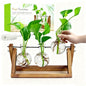 Renmxj Plant Propagation Station, Plant Terrarium with Wooden Stand | Unique Gardening Birthday Gifts for Women Plants Lovers, Home Office Garden Decor Planter - 3 Bulb Glass Vases - size: 3 Bulb Vase
