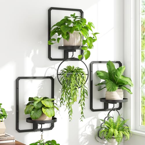 iDavosic.ly Wall Plant Picture Frame Holder Set of 3 for Indoor, Metal Stand with Hanging Hooks, Floating Flower Display Decor, Space Saving & Easy to Assemble (Pots/Chains/Plants Not Included) - color: Black, 3-Pack, size: Rectangular