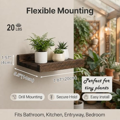 Z metnal Mini Floating Shelves, Small Natural Wooden Display Wall Shelf for Picture Ledge, Pawlownia, Wall Mounted, 8 x 5.5inch, 2 Pack - color: Dark Brown, size: 8 Inch