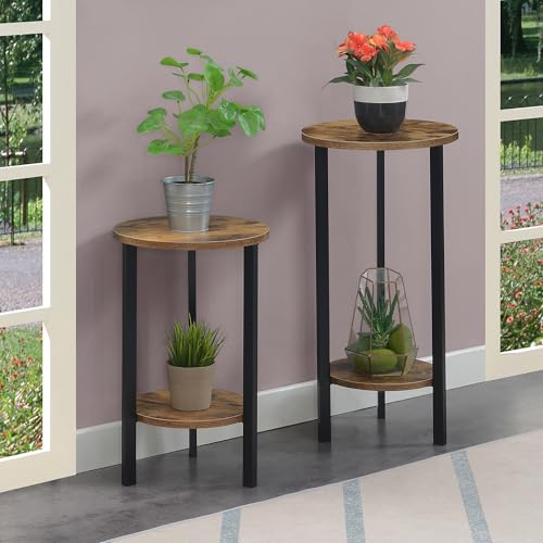 Convenience Concepts Graystone 2 Tier Tall Plant Stand 31" - Industrial Stand for Plants, Vases, and Antiques, Urban Modern Design for the Living Room, Hallway, Entryway, Barnwood/Black - color: Barnwood/Black