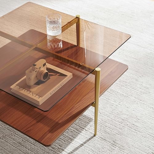 LumFurn Square Coffee Table, Mid-Century Modern Design, L30 x W30 x H17 Inch, for Living Room, 2-Tier Structure, Amber Glass Top and Walnut Wood Shelf, Sleek Conical Metal Legs with Gold Finish - color: Amber & Walnut, size: L30" Square Coffee Table