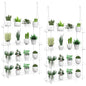 2-Pack Hanging Clear Plant Shelves for Windows, 16 Inch per Tier | Acrylic Window Wall Plant Stand Shelf for Kitchen Indoor Gardens, Flower, Herb, Seedling Organization, and Pots Display. - size: 2 Pack-4 Tier