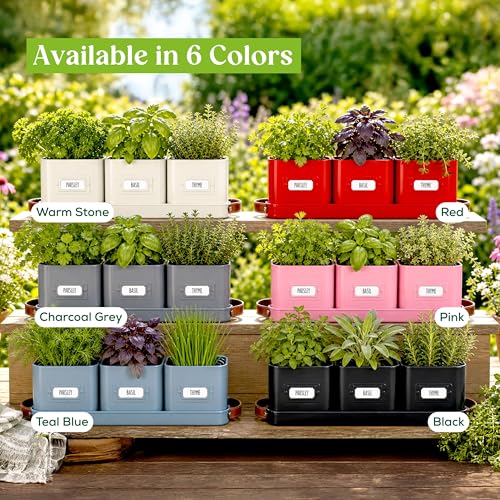 volila Herb Planter Indoor - Set of 3 Warmstone Indoor Herb Garden Pots for Plants with Leather Handled Tray - Window Sill Plant Shelf - Herb Pots with Drainage Holes and Labels - color: Warmstone