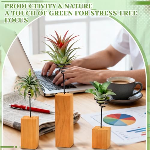 3 Pcs Wooden Air Plant Holder, 3 Sizes Air Plant Container Live Holder Wood Base with Metal Spiral for Display Small AirPlant, Tillandsia Stands for Home Desktop Office, Housewarming Gift