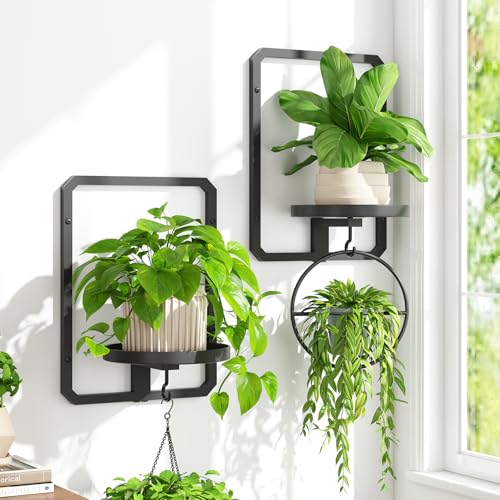 iDavosic.ly Wall Plant Picture Frame Holder Set of 2 for Indoor, Metal Stand with Hanging Hooks, Floating Flower Display Decor, Space Saving & Easy to Assemble (Pots/Chains/Plants Not Included) - color: Black, 2-pack, size: Rectangular