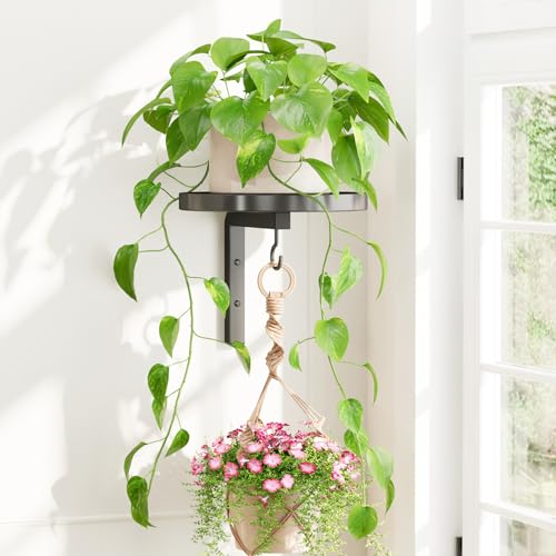 iDavosic.ly Plant Wall Hanger Holder for Indoor Outdoor, Metal Hook, Black | Floating Single Flower Display Stand for Window Corner, Space Saving, Easy to Assemble (Pots/Chains/Plants Not Included) - color: Pure Black, size: 1 Pack