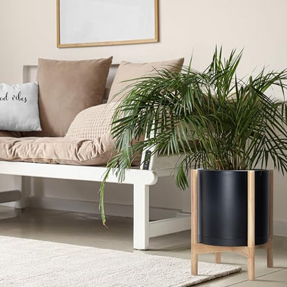 D'vine Dev Plastic Pot with Natural Wood Stand, Black, 14 in, 55-C-S-2 | Mid-Century Inspired Design, Elevated Plant Display, Clean Lines, Sturdy Support, Modern Space-Saving Style - color: Matte Black Pot + Natural Stand, size: 14 Inch