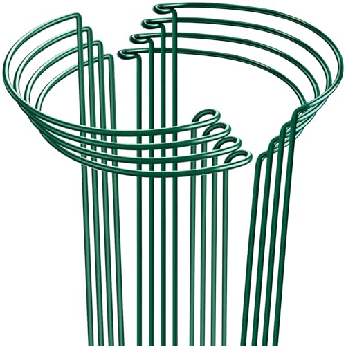 HiGift 8 Pack Plant Support Stakes, Half Round Metal Garden Plant Stake Indoor Peony Cages and Supports, Green Plant Support Ring Border for Tomato,Hydrangea,Flower Outdoor (10" Wide x 15.8" High) - size: 10"W x15.8"H