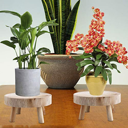 Wood Plant Stands Indoor Outdoor, 9cm/3.5 Tall Plant Holder Wooden Stool Display Stand Flower Pot Stand Small Round Side Plant Table Planter Stands for Indoor Plants (Wood, 14cm)