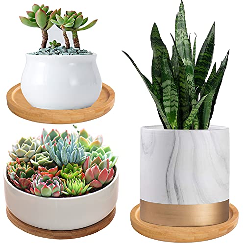 2 Pack 10" Bamboo Plant Saucer, Round Plant Pot Tray for Indoor Plants, Modern Brown Solid Style, Waterproof & Anti-Overflow - size: 10"