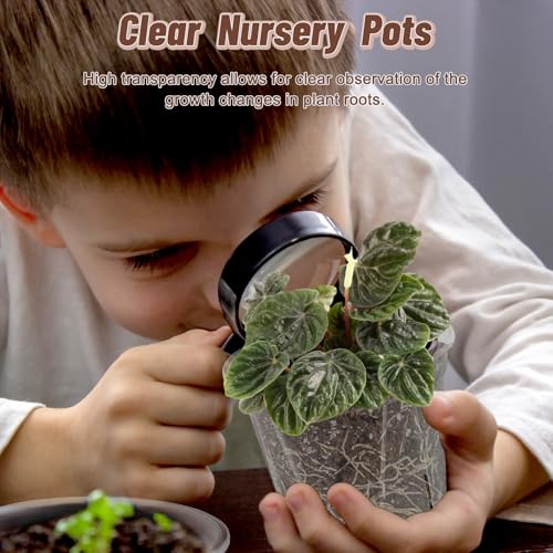 Clear Nursery Pots with Drainage, 10 Pack Transparent Plastic Orchid Planters, 6 Sizes Plant Pots 9.5/8.5/7/6/4.7/4 Inch with 10 Plant Labels for Seedlings, Succulents, Indoor/Outdoor Repotting - size: MIX-6 Sizes