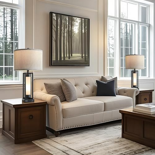 Set of 2 Modern Table Lamps for Living Room with USB C+A Ports | Rustic Nightstand Lamp with White Night Light, Retro Desk Lamp for Bedroom End Table Entryway, 4 Bulb Included (Black) - color: Black