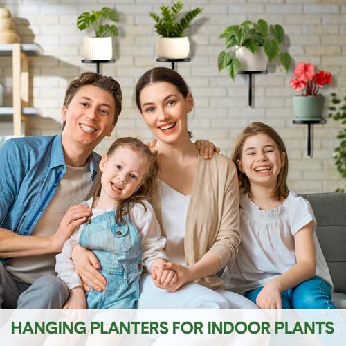 6 Pcs Hanging Planters for Indoor Plants Wall Plant Holder Indoor Wall-Mounted Planters Metal Decorative Shelf Space Saving for Windows Bedroom Living Room Kitchen Office Wall Decor