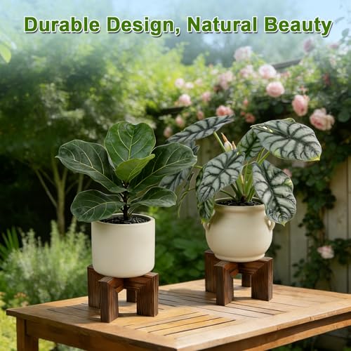 Wood Plant Stand Indoor Outdoor, Mid Century Modern Planter Holder, Sturdy Plant Pot Stand, Single Floor Flower Pot Holder (Walnut, Fit 2.5-6 Inch Pots) - size: Fit 2.5-6 Inch Pots