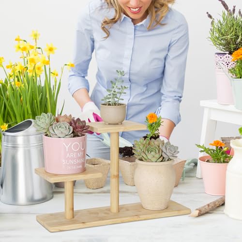 Desktop Plant Stand Indoor Bamboo Mini 3 Tiered Windowsill Shelf Desk Tabletop Shelf Holder Desk Organizer Display Rack for Outdoor Garden Balcony Patio
