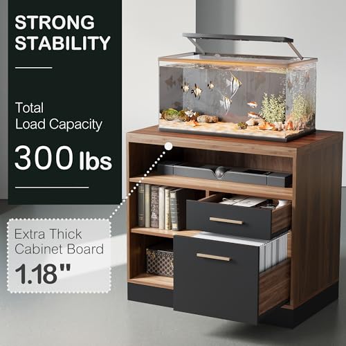 2 Drawer Lateral File Cabinet with Lock for Home Office | Filing Cabinet for A4 / Letter Documents, 31.5"W * 19.5"D * 29.5"H, Credenza w/ Built-in Power Outlet, Printer Stand - color: Black Walnut