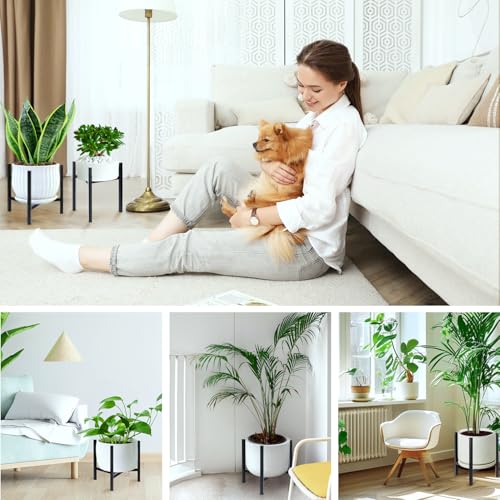 Airpark Plant Stand Indoor Adjustable, Metal Modern Plant Stand, Heavy Duty Stable Plant, Fit 8-12 inch Pots, Number of Items-2, Color-Black (Pot & Plant Not Included) - color: Black