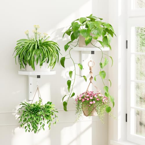 iDavosic.ly Plant Wall Hanger Holder Set of 2 for Indoor Outdoor, White | Metal Floating Flower Display Stand for Window with 2 Hooks, Space Saving, Easy to Assemble (Pots/Chains/Plants Not Included) - color: White, size: 2 Pack