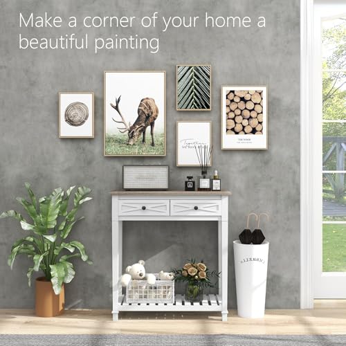 Kinpaw Narrow Console Table with Storage- White Entryway Table, Small Sofa Table with Drawer & Storage Shelf for Entryway, Hallway, Foyer, Behind Couch, Living Room Furniture, Wood - color: White-2 Drawers