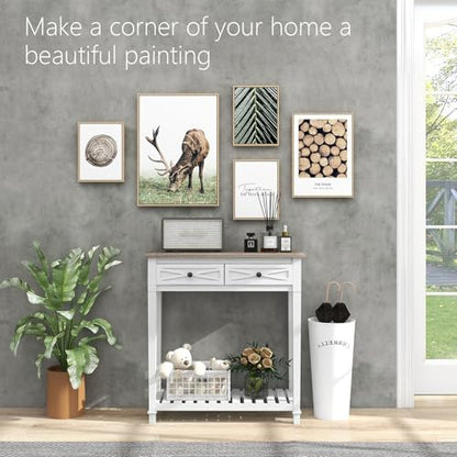 Kinpaw Narrow Console Table with Storage- White Entryway Table, Small Sofa Table with Drawer & Storage Shelf for Entryway, Hallway, Foyer, Behind Couch, Living Room Furniture, Wood - color: White-2 Drawers