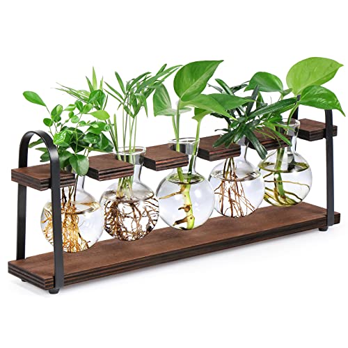 THYGIFTREE Plant Propagation Stations with Wooden Stand | Desktop Retro Plant Terrarium, Bulb Vase for Indoor Hydroponic Flowers, Tabletop Glass Planter - color: Dark Brown