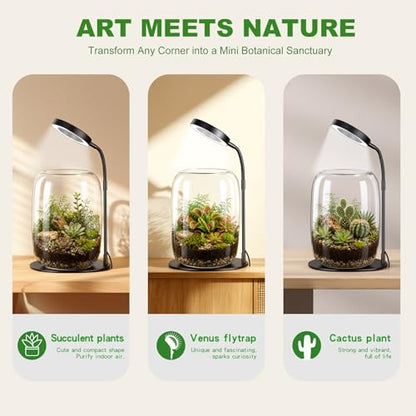 3X Aperture Grow Light for Indoor Plants, Full Spectrum Mini Desk Plant Light with Glass Terrarium, Height Adjustable LED Grow Lamp for Succulents, Moss & Home Office Gift - size: 3X