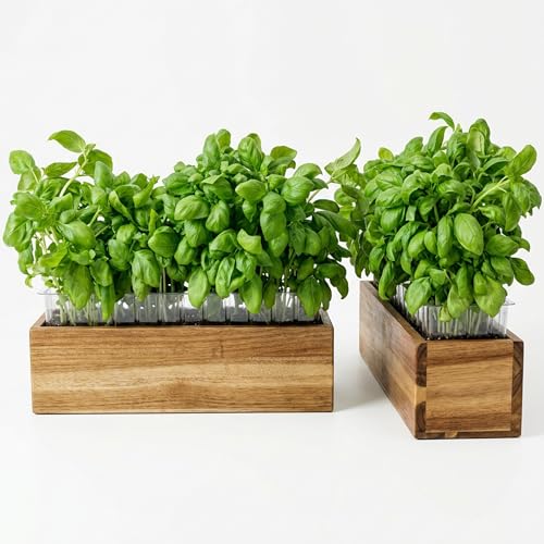 zaqro Indoor Planter Box Set of 2-17” x 4” Small Acacia Wood Window Sill Herb Planters - Rectangular Wooden Centerpiece Boxes with Liners - No Drain Holes - for Kitchen Tabletop Countertop