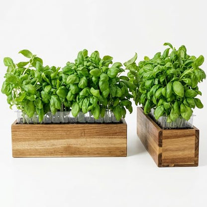zaqro Indoor Planter Box Set of 2-17” x 4” Small Acacia Wood Window Sill Herb Planters - Rectangular Wooden Centerpiece Boxes with Liners - No Drain Holes - for Kitchen Tabletop Countertop