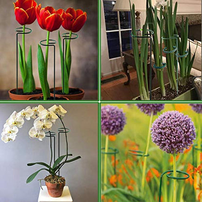 Plant Stake Support - 6 Pack, Garden Single Stem Support Stake Plant Cage Support Rings, Single Stem Plant Support Stakes, Plant Twist Ties, for Flowers Amaryllis Tomatoes Peony Lily Rose (15.9 inch) - size: 15.9inch