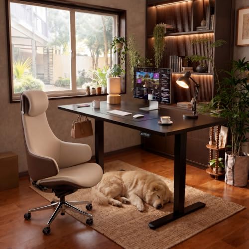 Furmax 55 Inches Electric Height Adjustable Standing Desk Home Office Desk | Large Sit Stand Up Computer Desk Memory Preset with T-Shaped Metal Bracket, Black - color: Black, size: 55 Inch