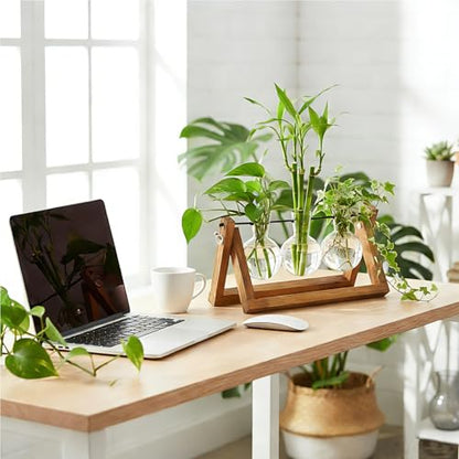 Renmxj Plant Propagation Station, Plant Terrarium with Wooden Stand | Unique Gardening Birthday Gifts for Women Plants Lovers, Home Office Garden Decor Planter - 3 Bulb Glass Vases - size: 3 Bulb Vase