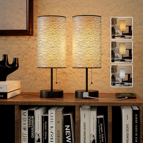YIDPU Table Lamp for Bedroom,Nightstand Lamp for Bedside with AC Outlets,Adjustable 3color LED Light Desk Lamp for Home Decor,Included Bulb and Lamp Shade (Black-OnlyAC, 2PCS) - color: Black-OnlyAC, size: 2PCS