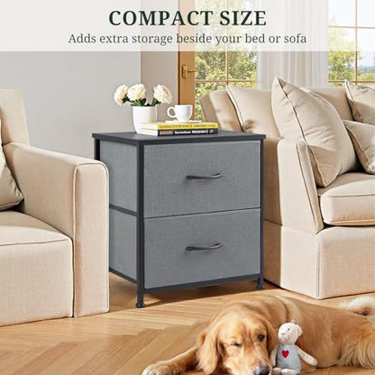 Nightstand Set of 2 Small 2 Drawer Dresser End Table Bedside Furniture | Wooden Top Fabric Bins for Bedroom, Closet, Entryway, Dorm, 11.8" D x 18" W x 20", Gray - color: Grey