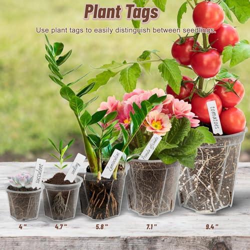 Clear Nursery Pots with Drainage, 10 Pack Transparent Plastic Orchid Planters, 6 Sizes Plant Pots 9.5/8.5/7/6/4.7/4 Inch with 10 Plant Labels for Seedlings, Succulents, Indoor/Outdoor Repotting - size: MIX-6 Sizes