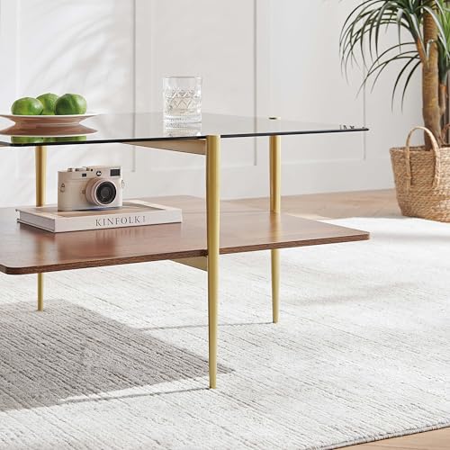 LumFurn Square Coffee Table, Mid-Century Modern Design, L30 x W30 x H17 Inch, for Living Room, 2-Tier Structure, Amber Glass Top and Walnut Wood Shelf, Sleek Conical Metal Legs with Gold Finish - color: Amber & Walnut, size: L30" Square Coffee Table