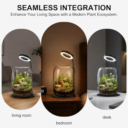 3X Aperture Grow Light for Indoor Plants, Full Spectrum Mini Desk Plant Light with Glass Terrarium, Height Adjustable LED Grow Lamp for Succulents, Moss & Home Office Gift - size: 3X