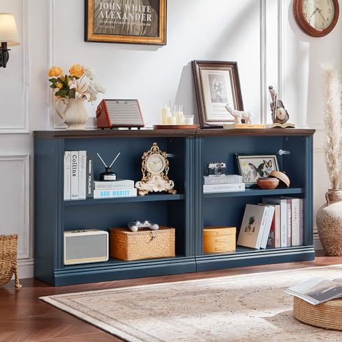 RWYHG 30" Blue Small Bookcase, 2 Tier Farmhouse Wooden Short Book Shelf | Adjustable Shelves Bookshelf, Open Display Storage, Wood Veneer Bookshelves, Thick Sturdy Base, for Living Room,Office