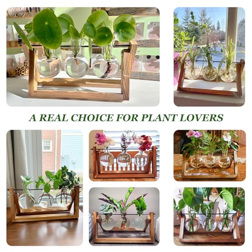 Renmxj Plant Propagation Station, Plant Terrarium with Wooden Stand | Unique Gardening Birthday Gifts for Women Plants Lovers, Home Office Garden Decor Planter - 3 Bulb Glass Vases - size: 3 Bulb Vase