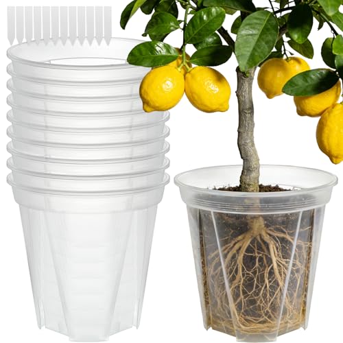 11 Inch Large Clear Nursery Pots with Drainage Holes, 3.5 Gal 10 Pack Transparent Plastic Plant Pots, Ideal for Orchids, Seedlings, Repotting & Observing Root Growth & Soil Moisture - size: 11 inch