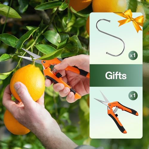 VIVOSUN 4-Layer Mesh Drying Rack Hanging Design with Green Zippers for Dehydrating, Indoor and Outdoor Pruning Shears Included - size: 4 Layer, style: 1 Pack