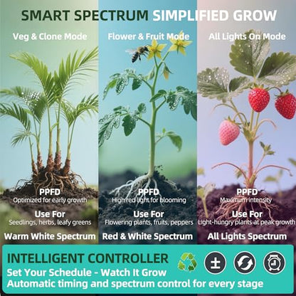 Dual Head Under Shelf Grow Light, Stick On LED Shelf Plant Light with Timer | Dual Head Under Cabinet Grow Light, Full Spectrum 3500K High PPFD LED for Plant Stands, Shelves & Multi-Plant Coverage - size: 2 Head 1 Pack Plus