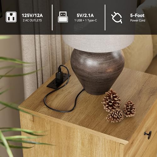 Nightstands with Charging Station, Set of 2 End Table with Power Outlets & USB Ports Modern Side Table with Drawer and Storage Cabinet for Bedroom,Brown Oak - color: Brown Oak