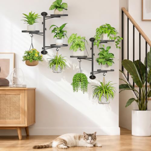 iDavosic.ly Rotating Window Plant Shelves Set of 2, 3-Tier Metal Wall Stand with Hooks, Flower Display Holder Rack for Living Room, Space Saving, Modern Black (Pots/Chains/Plants Not Included) - color: Deep Black, size: 2 Pack