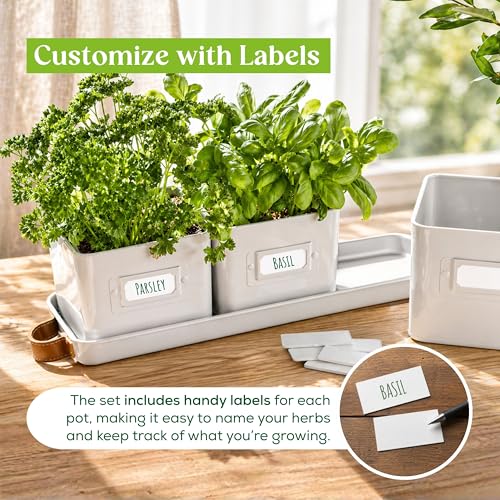 volila Herb Planter Indoor - Set of 3 Warmstone Indoor Herb Garden Pots for Plants with Leather Handled Tray - Window Sill Plant Shelf - Herb Pots with Drainage Holes and Labels - color: Warmstone