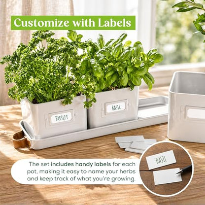volila Herb Planter Indoor - Set of 3 Warmstone Indoor Herb Garden Pots for Plants with Leather Handled Tray - Window Sill Plant Shelf - Herb Pots with Drainage Holes and Labels - color: Warmstone