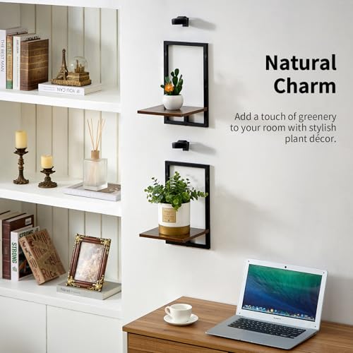 Floating Shelves for Plants with Grow Lights, Remote Control Indoor Plant Holder Stand for Bedroom, Living Room, Bathroom, Kitchen, Rustic Brown (2, Rustic Brown) - color: Rustic Brown