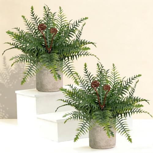 Artificial Boston Fern Potted Plants, 2 Pcs 15'' Fake Greenery Shrubs Plants in Pot for Home Office Living Room Desk Shelf Indoor - color: Green-2pcs