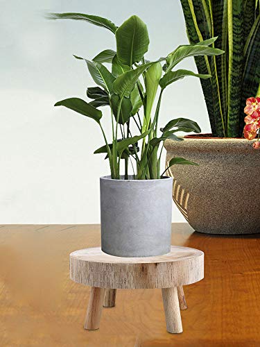 Wood Plant Stands Indoor Outdoor, 9cm/3.5 Tall Plant Holder Wooden Stool Display Stand Flower Pot Stand Small Round Side Plant Table Planter Stands for Indoor Plants (Wood, 14cm)