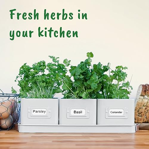 volila Herb Planter Indoor - Set of 3 Warmstone Indoor Herb Garden Pots for Plants with Leather Handled Tray - Window Sill Plant Shelf - Herb Pots with Drainage Holes and Labels - color: Warmstone